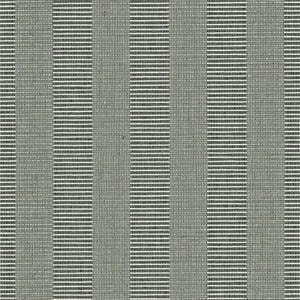 Toiles à rouleau tissées Décorateur 1569