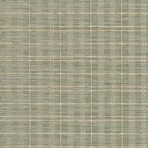 Toiles à rouleau tissées Décorateur 1569
