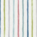 Little Explorer Kids' Blackout Roller Shades 1528
