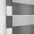 Designer Light Filtering Zebra Blinds 1562