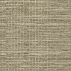 Toiles à rouleau tissées Décorateur 1569