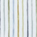 Little Explorer Kids' Blackout Roller Shades 1528