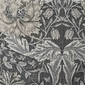 Toiles à rouleau noircissantes William Morris 1632