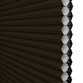 1/2" Double Cell Value Plus Blackout Honeycomb Shades 1114