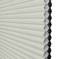 1/2" Double Cell Value Plus Blackout Honeycomb Shades 1114