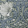 Toiles à rouleau noircissantes William Morris 1632