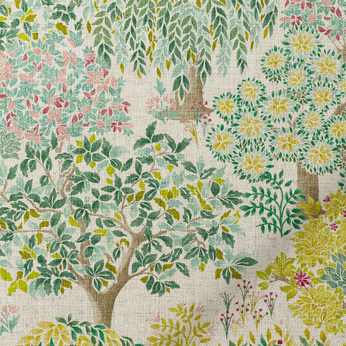 Olive bonbon Tatton