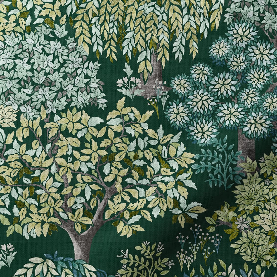 Olive verte Tatton