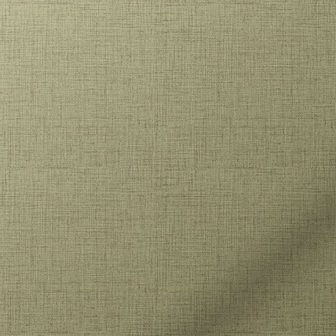 Thym réconfortant