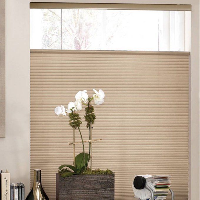 1/2” Single Cell Cordless Top Down Bottom Up Light Filtering