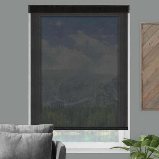 Interior 2024 solar shades