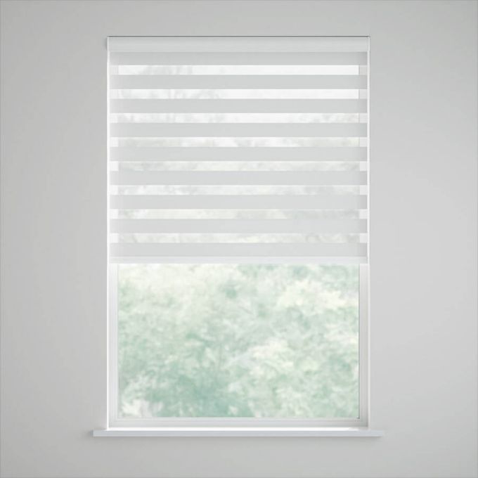 Value Light Filtering Zebra Blinds 5785
