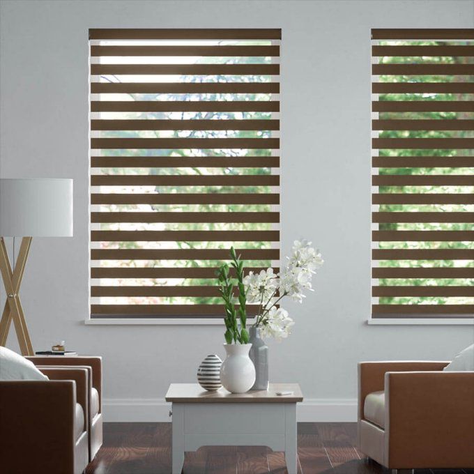 Value Room Darkening Zebra Blinds 4315