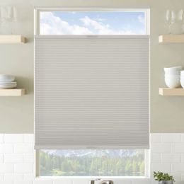 Designer Plus Cordless Top Down Bottom Up Light Filtering Pleated Shades