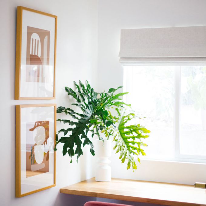 Classic Roman Shades 8647