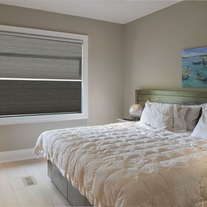 Express Day/Night Honeycomb Shades 10534