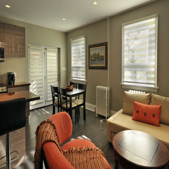 Designer Light Filtering Zebra Blinds 9451