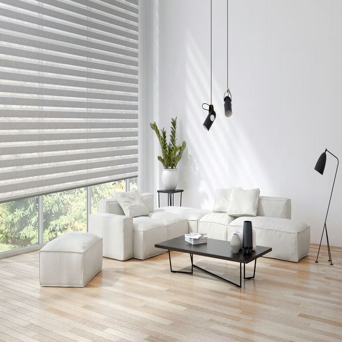 Designer Luxe Light Filtering Zebra Blinds 10187