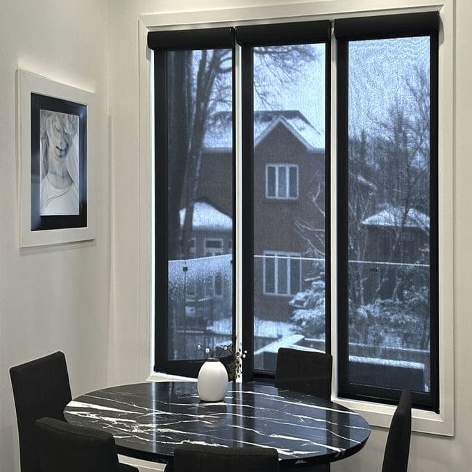 Designer Luxe Solar Shades 10098