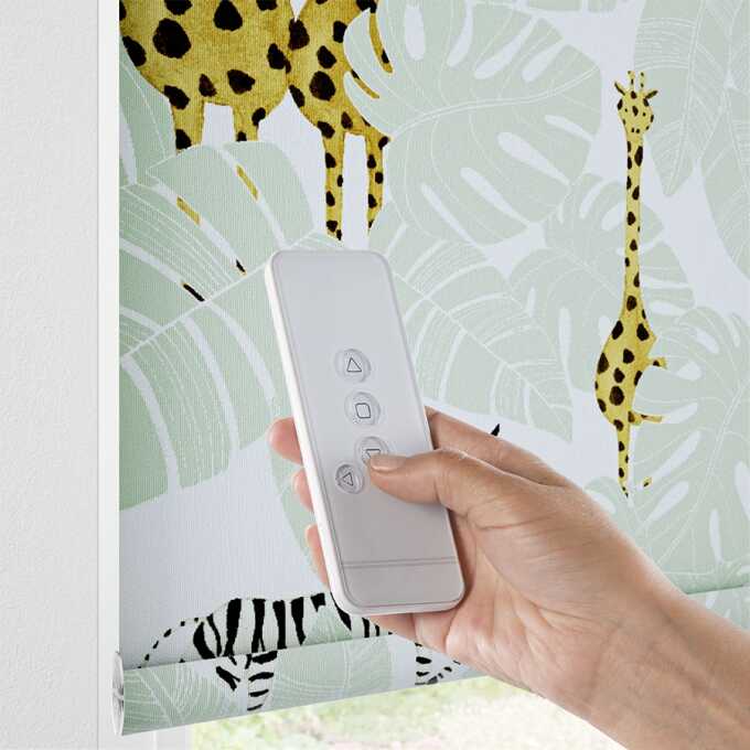 Little Explorer Kids' Blackout Roller Shades 9318