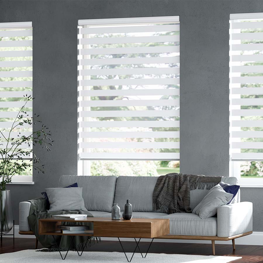Select Light Filtering Zebra Blinds 10230