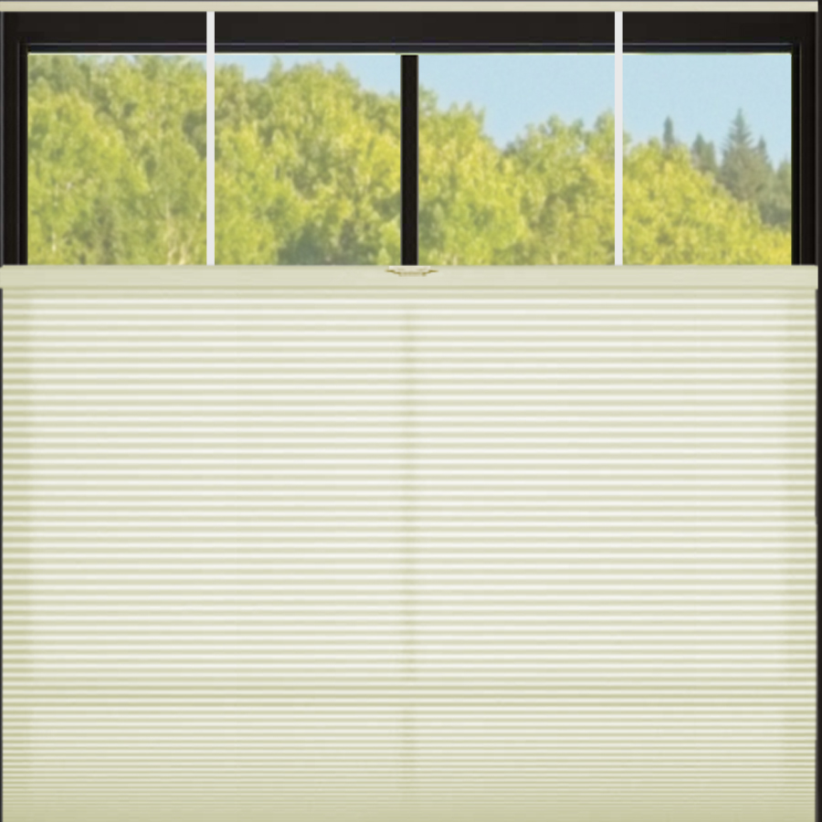 Select Top-Down Bottom-Up Light Filtering Honeycomb Shades 9822