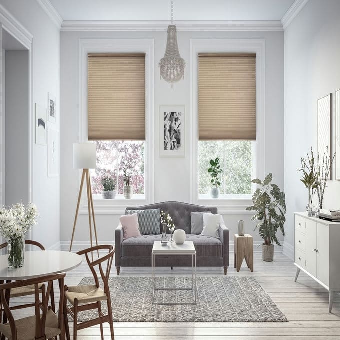 Stores cellulaires filtres de lumière Express 10529