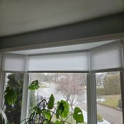 3/4" Single Cell Value Plus Light Filtering Honeycomb Shades - December White