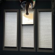 Premium Top-Down Bottom-Up Light Filtering Honeycomb Shades - Night Blue