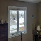 Designer Single Cell Blackout Honeycomb Shades - Fortune Cookie