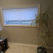 Value Cordless Light Filtering Honeycomb Shades - Perfect White
