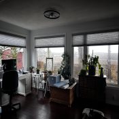 Value Cordless Light Filtering Honeycomb Shades - Stone Wall