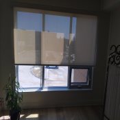 Toiles à rouleau solaire Décorateur 3% - Coquille d'oeuf