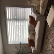 Value Light Filtering Zebra Blinds - Ivory