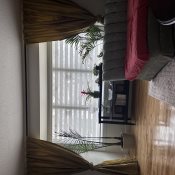 Premium Light Filtering Zebra Blinds - White