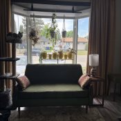 Value Cordless Light Filtering Honeycomb Shades - Perfect White