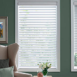 Privacy & View Options