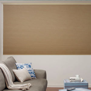 Large Blinds