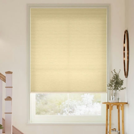 1/2" Double Cell Value Light Filter Honeycomb Shades 1126