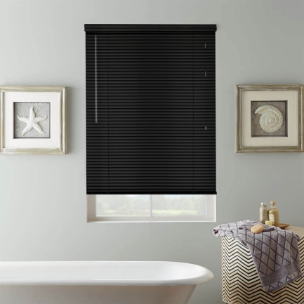 Black Mini Blinds (aluminum) 