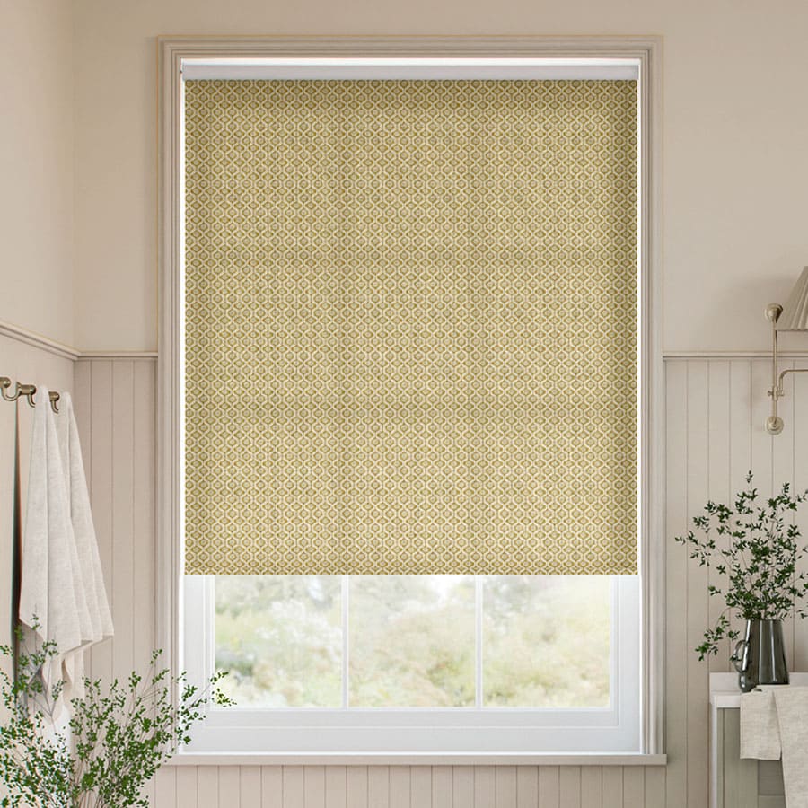 Clarke & Clarke Roller Shades 1821