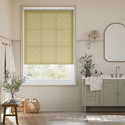 Clarke & Clarke Roller Shades