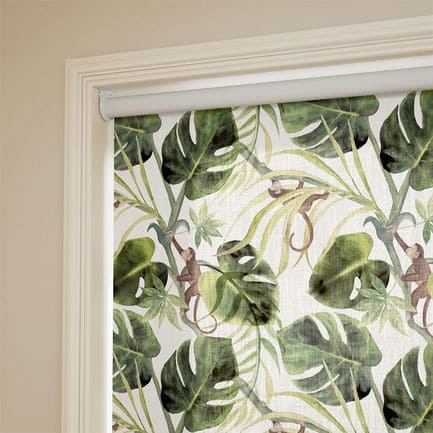 Clarke & Clarke Roller Shades 1821