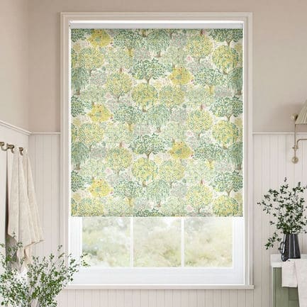 Clarke & Clarke Roller Shades 1821