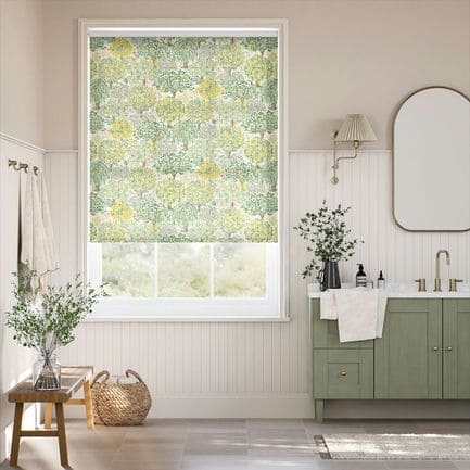 Clarke & Clarke Roller Shades