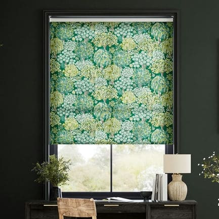 Clarke & Clarke Roller Shades 1821