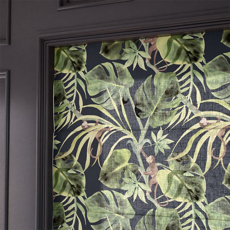 Clarke & Clarke Roman Shades 1819