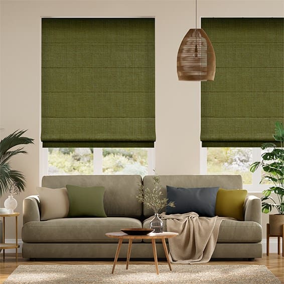 Classic Roman Shades 1245