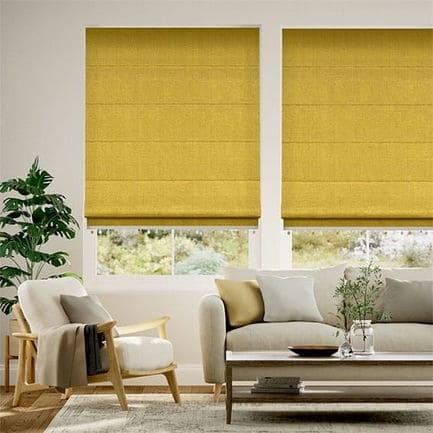 Decorative Roman Shades with Trims