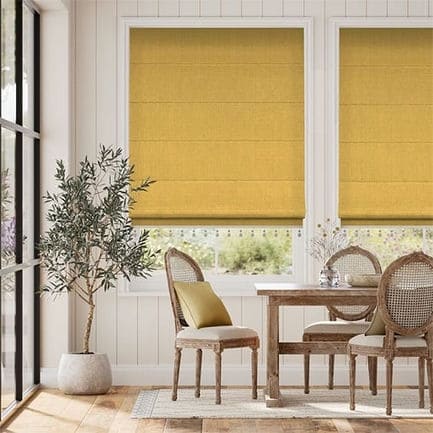 Decorative Roman Shades with Trims